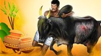 மாட்டுப் பொங்கல் தமிழர்களுக்கு ஏன் ரொம்ப ஸ்பெஷல்? அன்னைக்கு என்னவெல்லாம் பண்ணுவாங்க தெரியுமா? 
