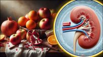 World Kidney Day 2024: சிறுநீரக நோய் எதுவும் வரக்கூடாதா? அப்ப இந்த பழங்களை அதிகமா சாப்பிடுங்க போதும்...