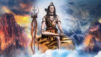 மகா சிவராத்திரி நாளில் இந்த செடிகளை வாங்கி வீட்டுல வையுங்க.. சிவனின் அருள் எப்பவும் இருக்கும்...