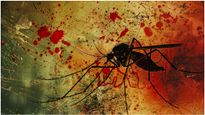 Dengue: தமிழகம் மற்றும் பெங்களூருவில் அதிகரிக்கும் டெங்கு: இந்த அறிகுறி தெரிஞ்சா உடனே டாக்டர்கிட்ட போங்க...