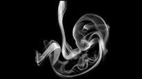 புகை அல்லது குழந்தை - இதுல உங்க கண்ணுக்கு முதலில் என்ன தெரிஞ்சதுன்னு சொல்லுங்க.. 