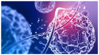 Stem cell: ஸ்டெம் செல்லை பாதுகாப்பது எப்படி? அதன் நன்மைகள் என்ன?