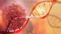 இந்த பழம் உங்கள் DNA-வை சேதங்களிலிருந்து பாதுகாக்குமாம் தெரியுமா? இனிமே அடிக்கடி சாப்பிடுங்க...!