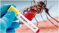 Dengue: பெங்களூருவில் கிடுகிடுவென உயரும் டெங்கு: விரைவில் குணமாக எந்த மாதிரியான உணவை சாப்பிடணும்?