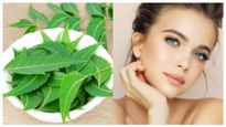 முகப்பரு தழும்புகளை நீக்கணுமா? இந்த துளசி மற்றும் வேப்பம்பூ ஃபேஸ் பேக் ட்ரை பண்ணுங்க..!