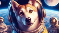 விண்வெளிக்கு சென்ற முதல் நாய்க்கு என்ன நடந்தது தெரியுமா? அதன் பெயர் என்ன தெரியுமா?