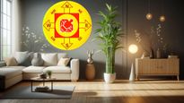 Vastu Tips: மூங்கில் செடியை வீட்டின் இந்த இடத்துல வையுங்க.. பணமும் குவியும், தொழிலிலும் முன்னேற்றம் ஏற்படும்..