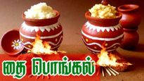 Pongal Festival 2026: 2026-ல் பொங்கல் பண்டிகை எப்போது வருகிறது? இந்த பண்டிகையின் உண்மையான வரலாறு என்ன தெரியுமா