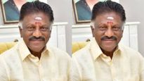 OPS to Announce Alliance Today: Which Party Will O. Panneerselvam Join, Big Surprise to AIADMK Edappadi Palanisamy