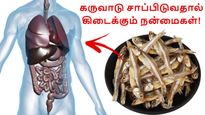 Karuvadu Benefits: 100 கிராம் கருவாடு சாப்பிடுவதால் இவ்வளவு நன்மை கிடைக்குமா? இத்தன நாள் இது தெரியாம போச்சே..