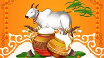 Pongal 2026: 4 நாள் பொங்கல் கொண்டாட்டம் - ஒவ்வொரு நாளும் எதுக்கு கொண்டாடுறாங்க-ன்னு தெரியுமா?