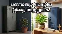 வாஸ்துப்படி மணி பிளாண்ட் வைக்கும் திசை இதுவா? பணவரவு தடையின்றி கொழிக்க இதை உடனே மாற்றுங்க!