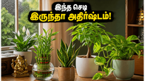 வீட்டில் இந்த செடிகள் இருந்தா போதும்… பணமும் அதிர்ஷ்டமும் தேடி வரும், வீடும் ஜில்லுனு இருக்கும்!