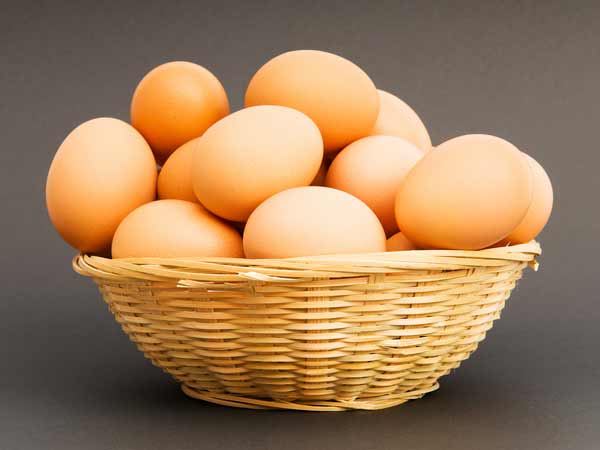 முட்டை முட்டை