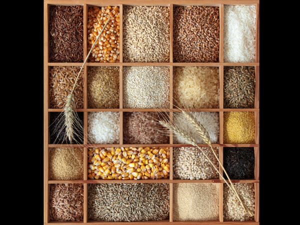 தானியங்கள்