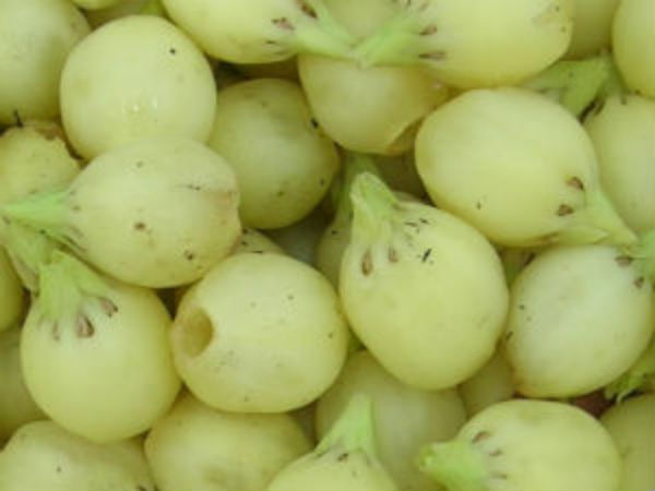 இனிமையான உறவுக்கு இலுப்பை பூ