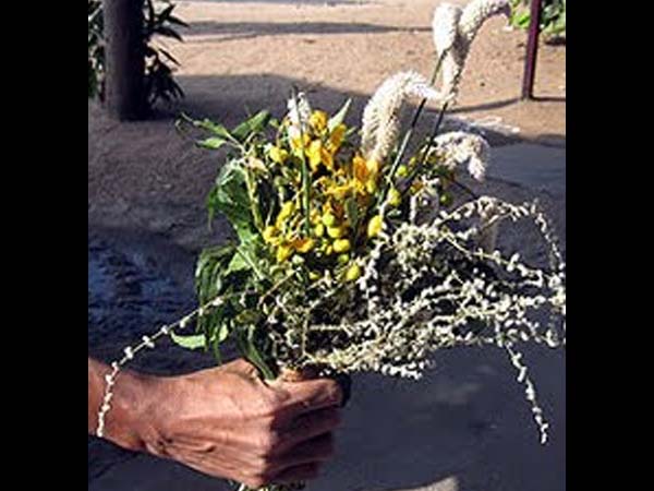 பொங்கல் காப்பு