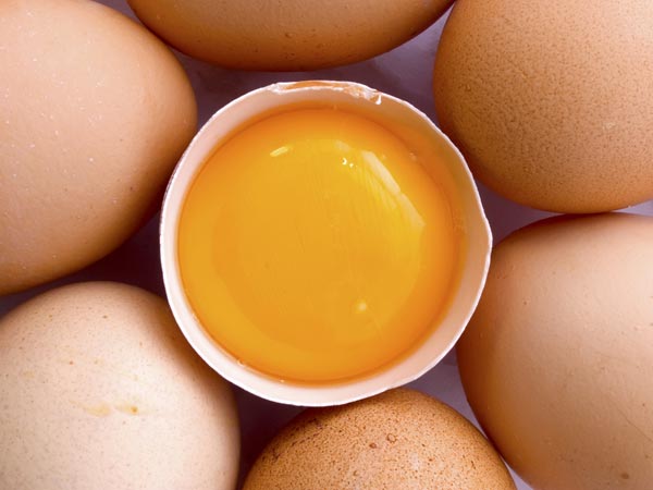 முட்டை மஞ்சள் கரு