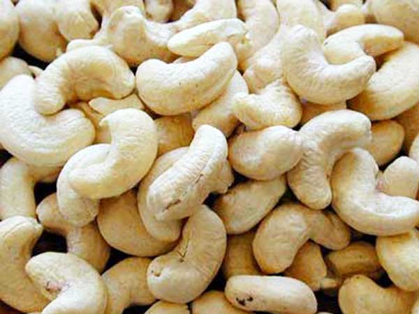 முந்திரி