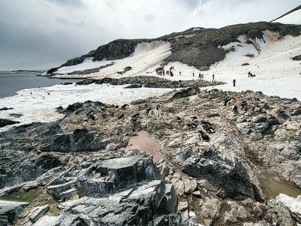 அண்டார்டிக் பாலைவனம் (Antarctic Desert)