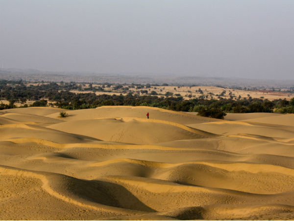 தார் பாலைவனம் (Thar Desert)