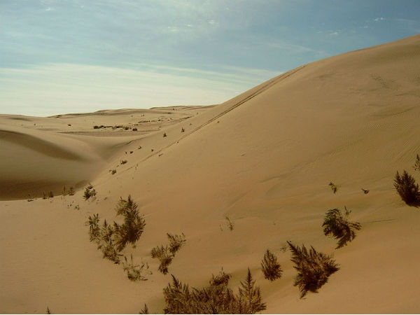கோபி பாலைவனம் (Gobi Desert)