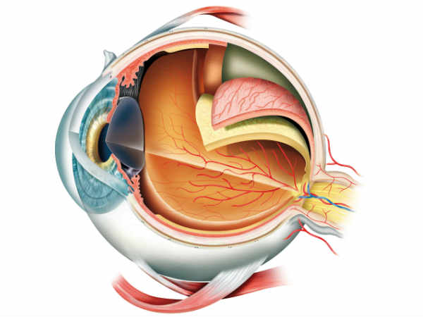 கண்களுக்கு பயிற்சி
