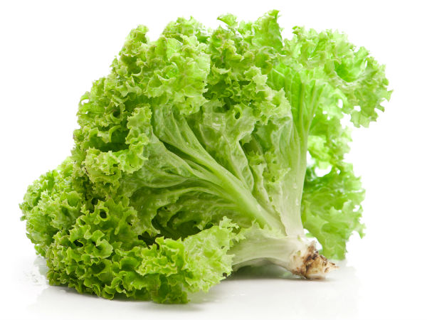 ரோமன் கீரைகள் (Romaine Lettuce)