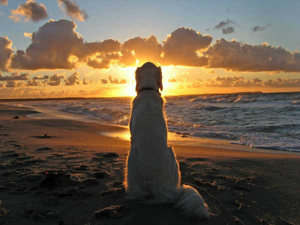 வெளியே செல்வதில் சந்தோஷப்படுதல்