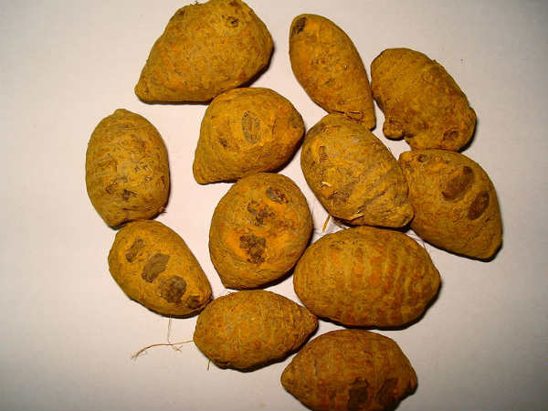 நினைவாற்றல் அளிக்கும் மஞ்சள் 