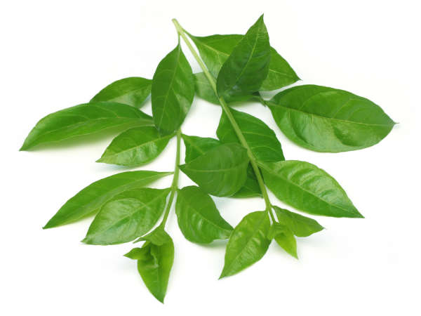 மருதாணி இலை