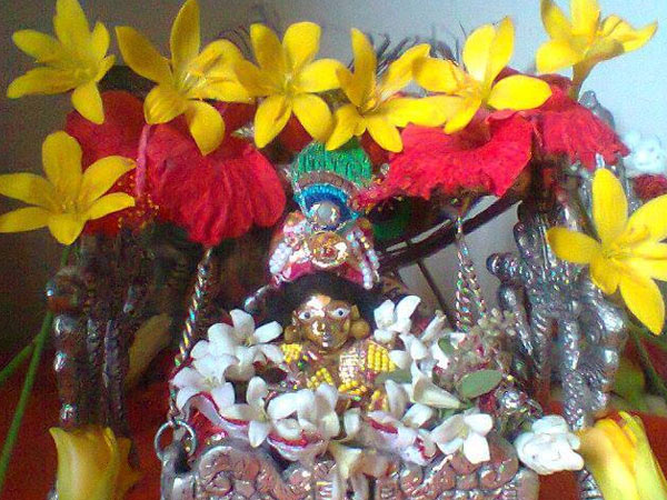 பலவண்ண பூக்கள்