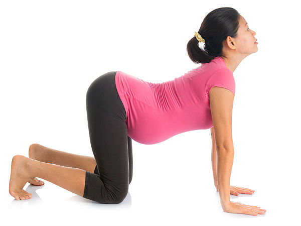 நாய் போன்ற நிலை