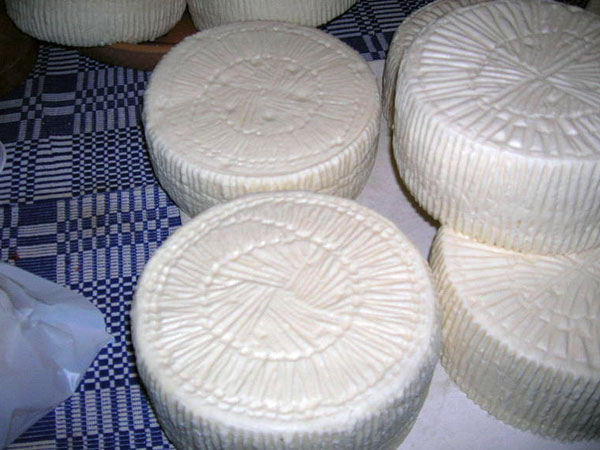 ரிக்கோட்டா