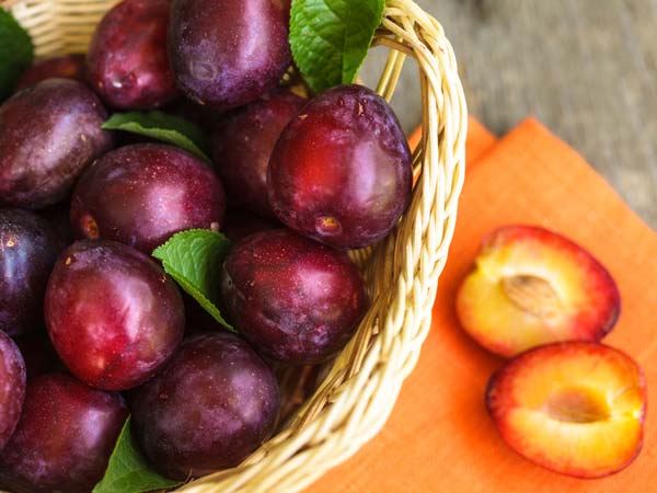 ப்ளம்ஸ்