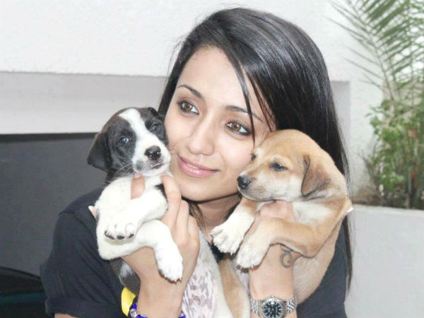 செல்ல பிராணிகளுடன் நேரத்தை செலவிடுங்கள்