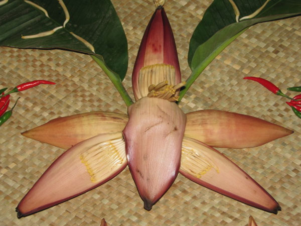 செய்முறை செய்முறை