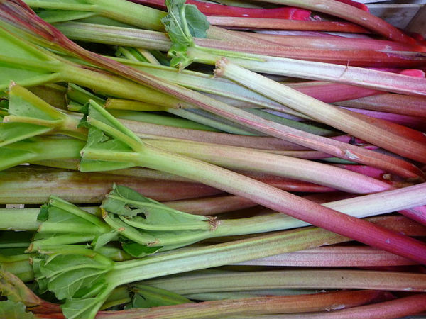 ருபார்ப் 