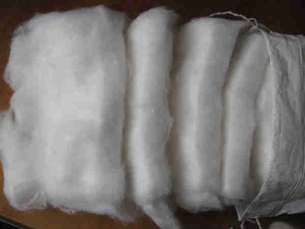 காட்டன்