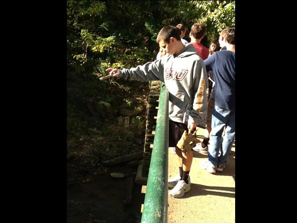 போ ஸ்டிக்ஸ் (Pooh sticks)