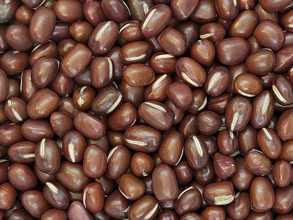 பீன்ஸ் மற்றும் பட்டாணி வகைகள் 