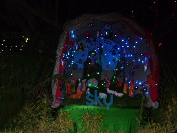 பல்புகள்