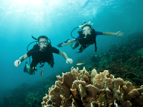 ஆழ்கடல் மூழ்குதல் (Scuba Diving)