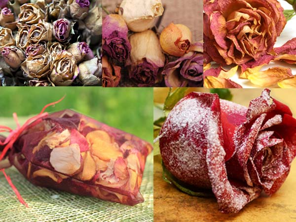 உலர்ந்த ரோஜாப்பூ இதழ்கள்