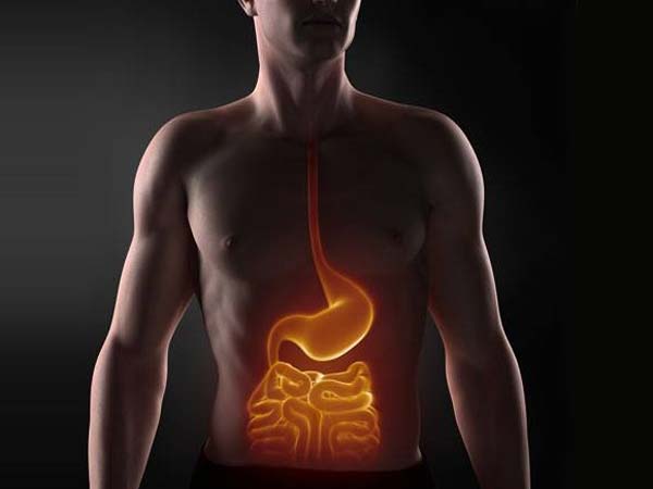 செரிமானத்தை ஊக்குவிக்கும்