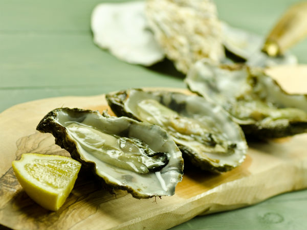 கடல் சிப்பி