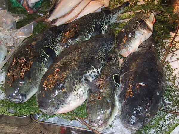 ஃபுகு (Fugu)