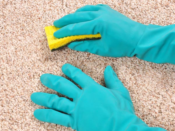 உடனே அலசவும்