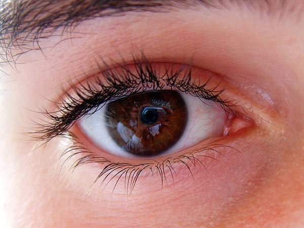 கண் பார்வை