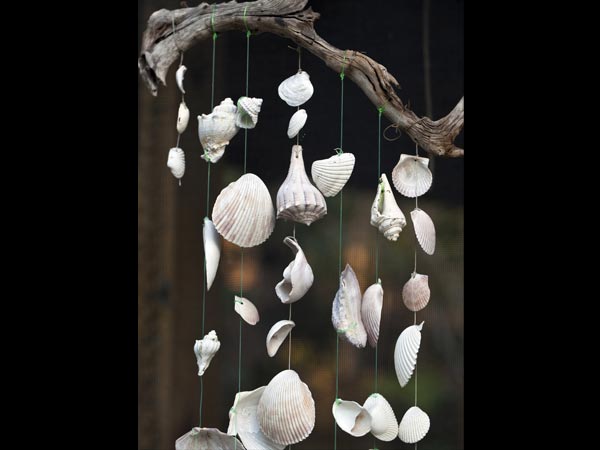 சங்குகளால் ஆன திரைச்சீலைகள்